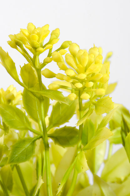 13" Artificial Azolla Bush Green/Yellow