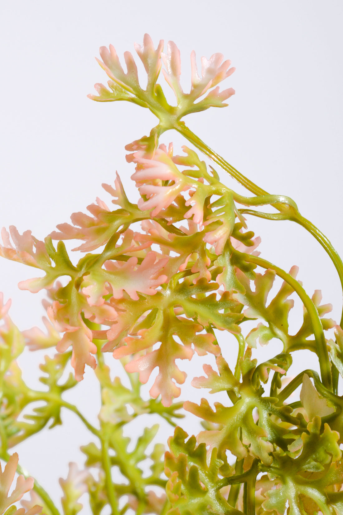 19.5" Artificial French Parsley Bush Green/Pink