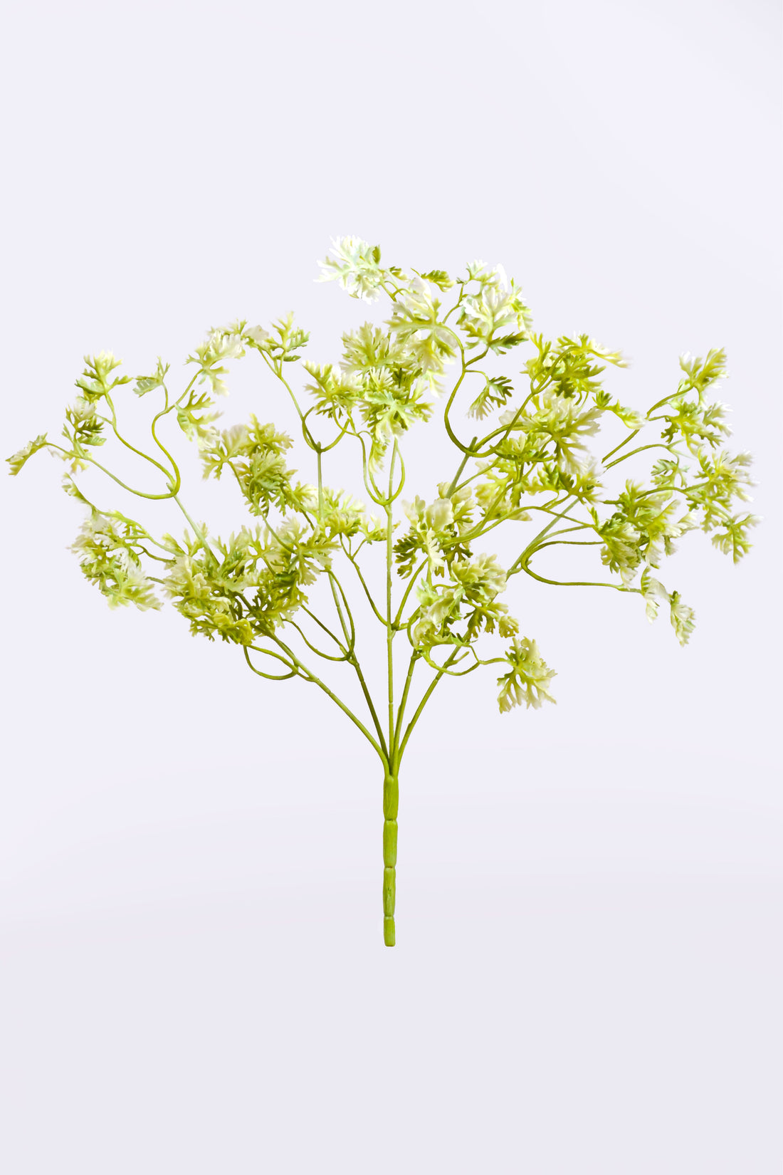 19.5" Artificial French Parsley Bush Green/White