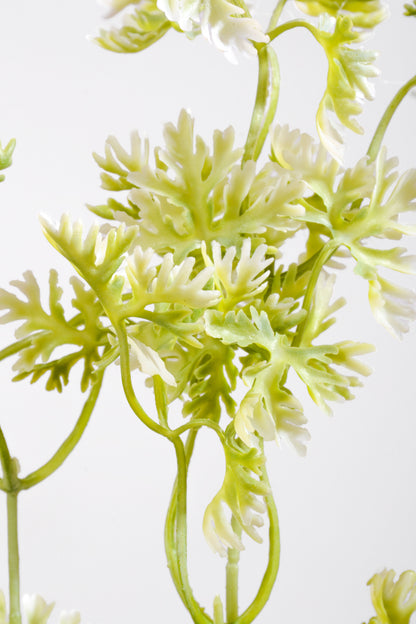 19.5" Artificial French Parsley Bush Green/White