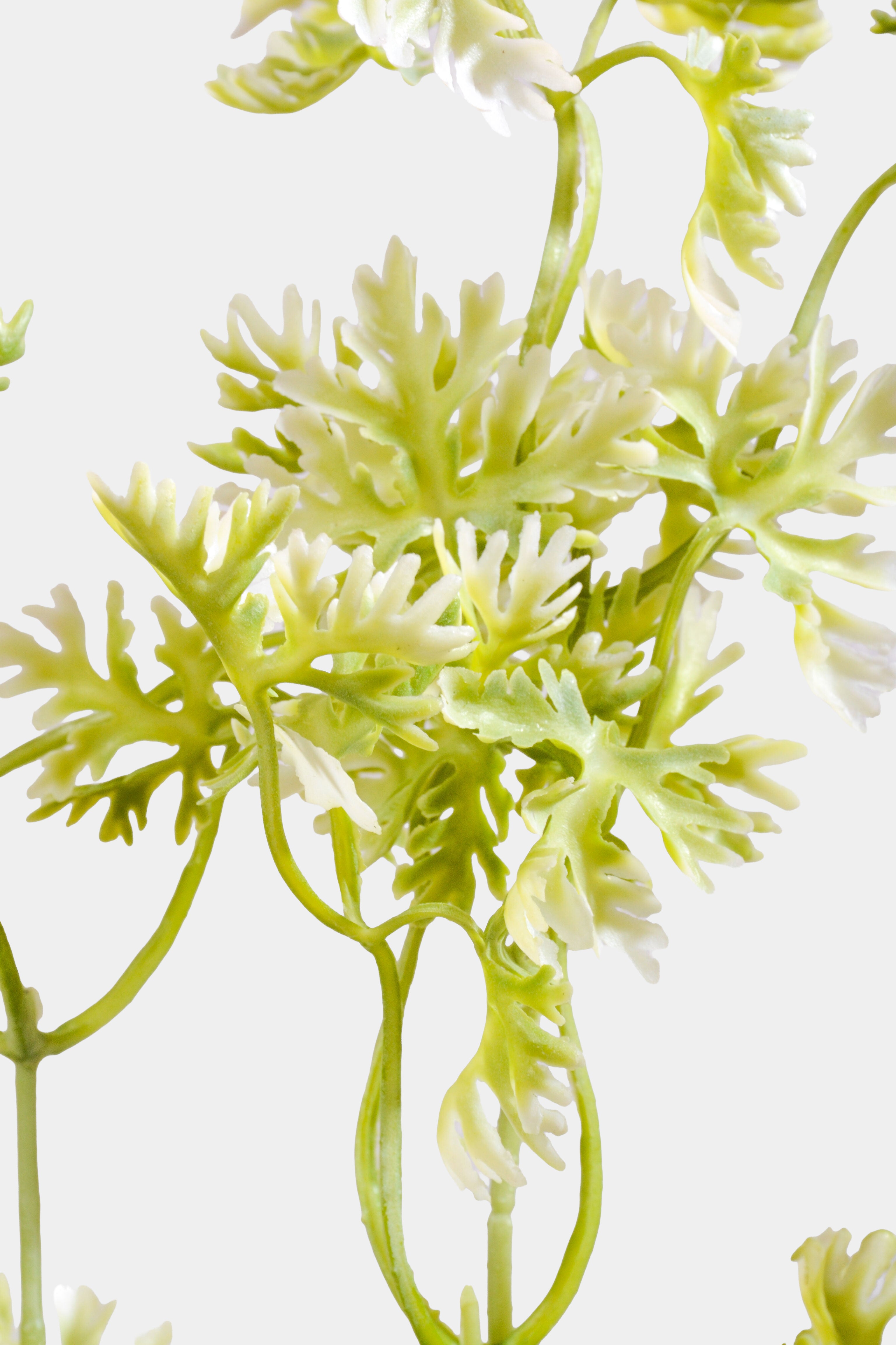 19.5" Artificial French Parsley Bush Green/White