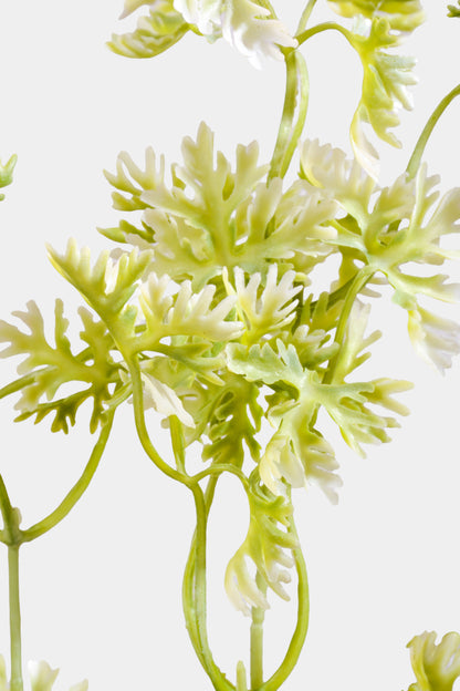 19.5" Artificial French Parsley Bush Green/White