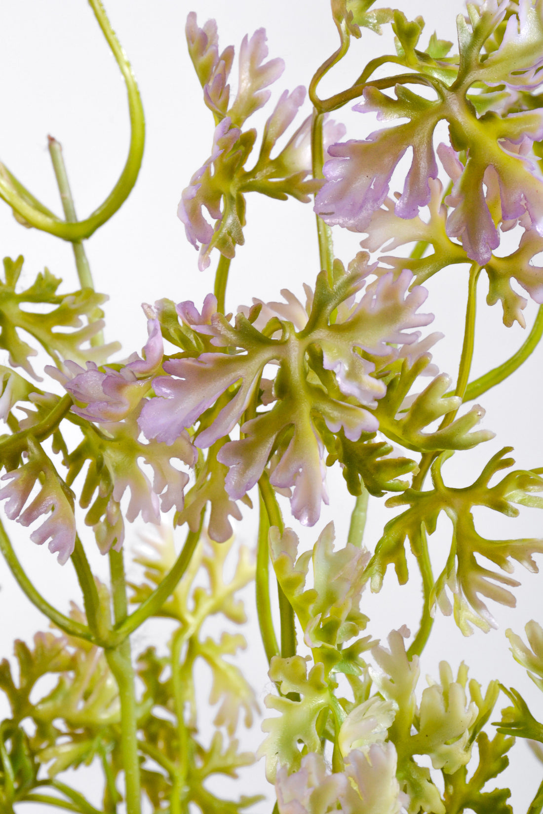 19.5" Artificial French Parsley Bush Green/Lavender