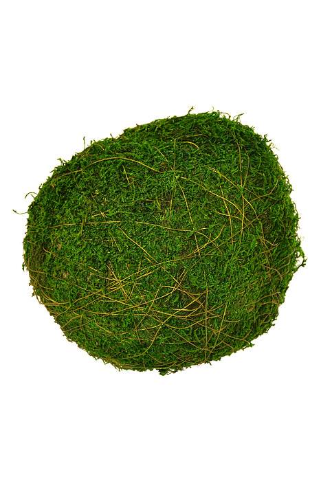 6&quot; Moss Ball Green