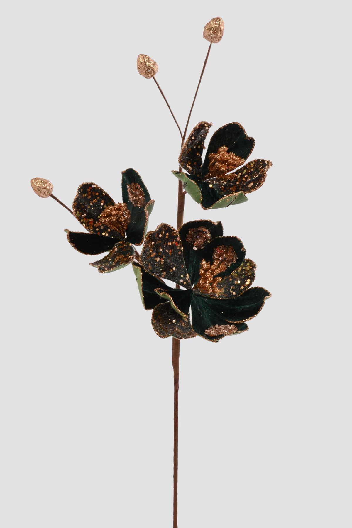23.5" Saucer Magnolia Spray Green