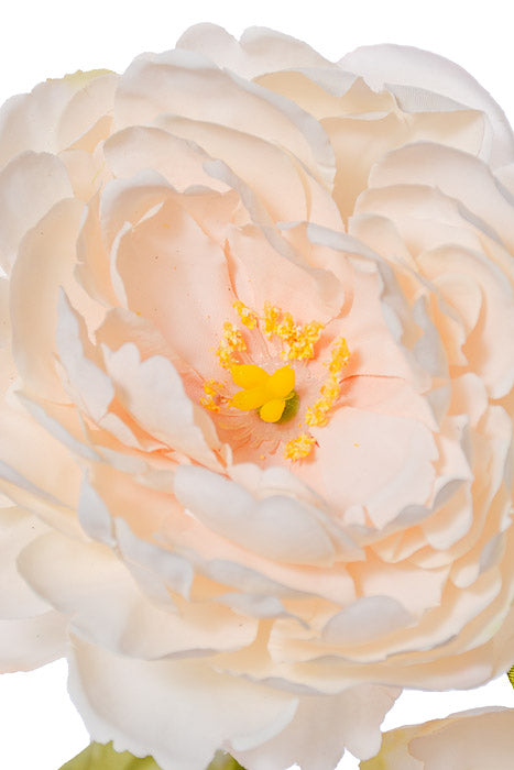 27.5" Silk Peony Spray Ivory