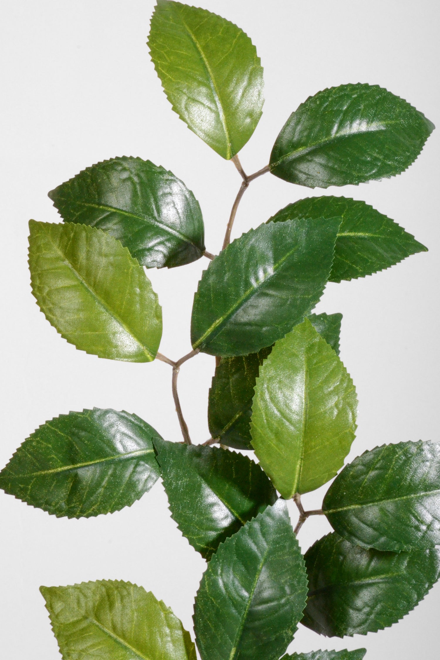 27" Artificial Camellia Spray Green/Two Tone