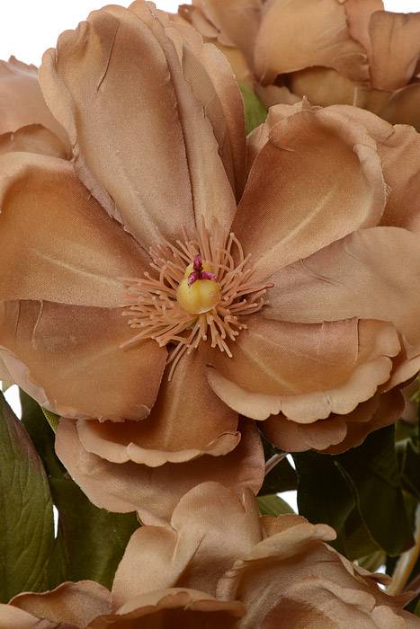 21" Silk Magnolia Bush Light Brown