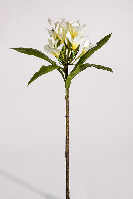 22" Artificial Plumeria Spray Cream/Yellow
