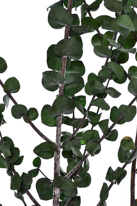 Eucalyptus Baby-Washed Green