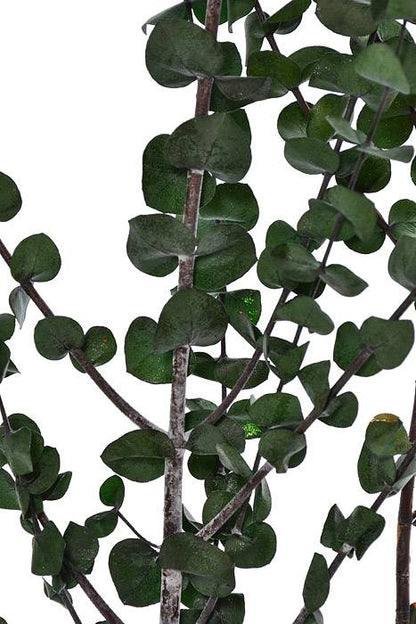 Eucalyptus Baby-Washed Green