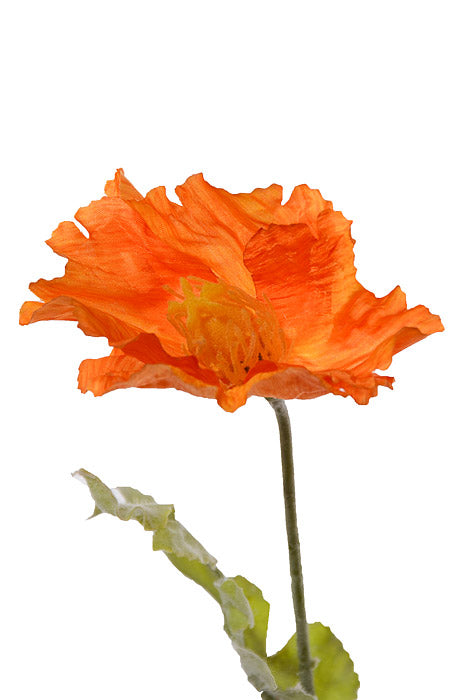 28.5&quot; Poppy Spray Yellow Gold