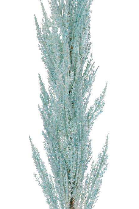 46" Pampas Grass Spray Turquoise