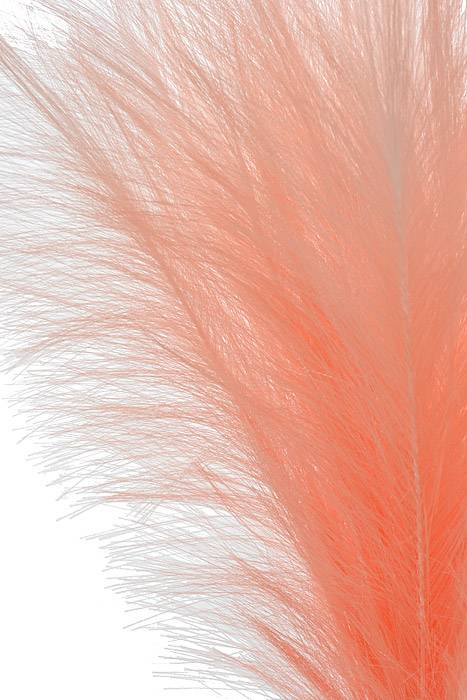 28" Plume Spray Pink