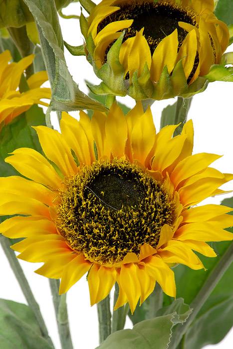 22" Silk Sunflower Bush Yellow