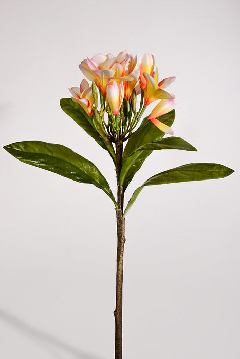 22" Artificial Plumeria Spray Pink/Yellow