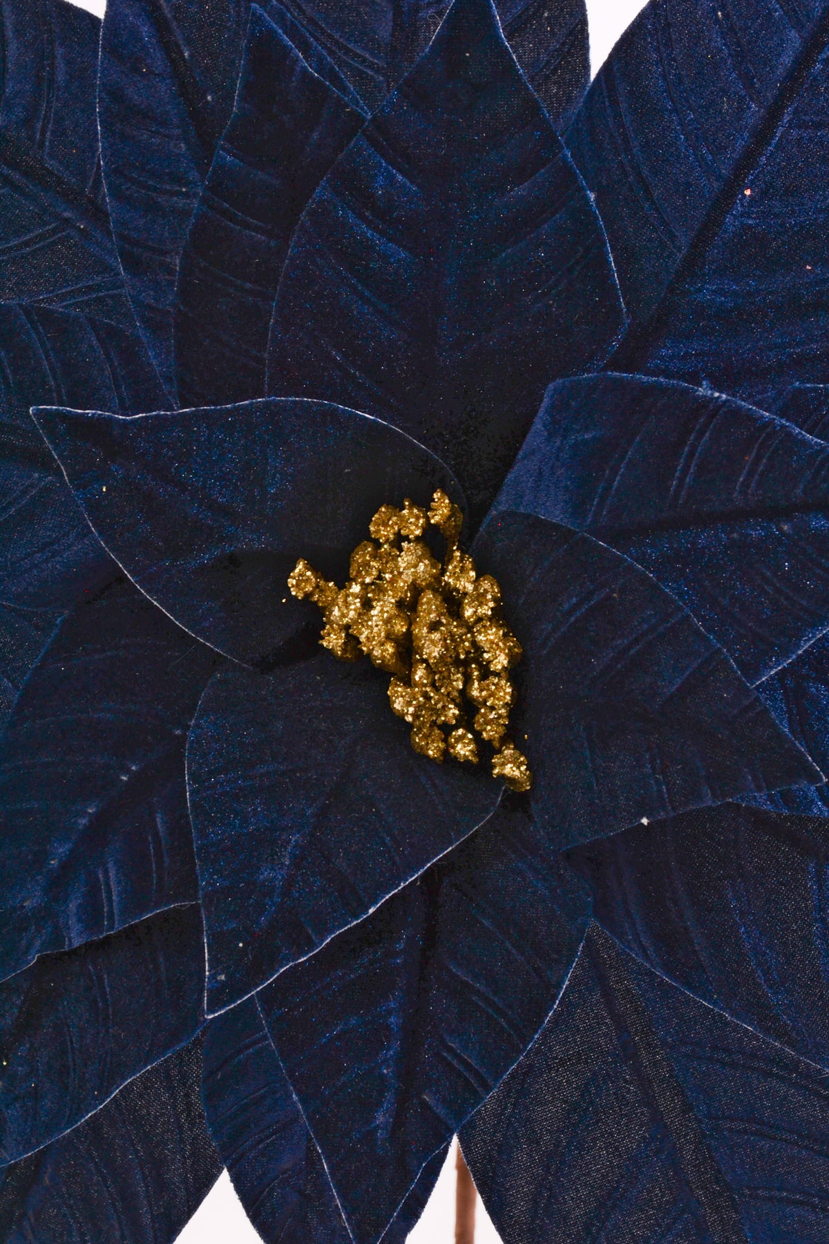 28" X 17.75" Giant Velvet Poinsettia Stem Midnight Blue/Gold