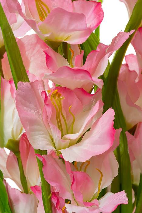 26.5" Silk Pongee Gladiolus Bush Pink