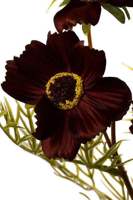 28" Silk Cosmos Spray Dark Brown