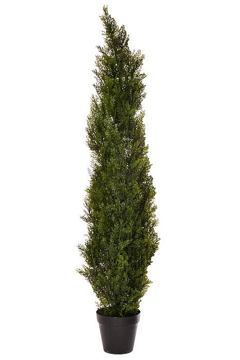 60" Cedar Topiary In Pot Green