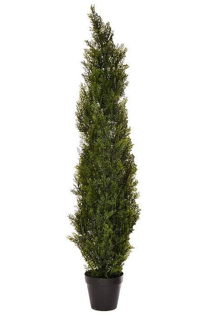 60" Cedar Topiary In Pot Green