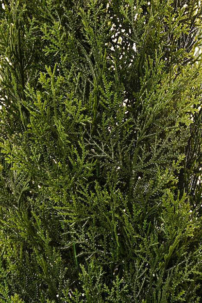 60" Cedar Topiary In Pot Green