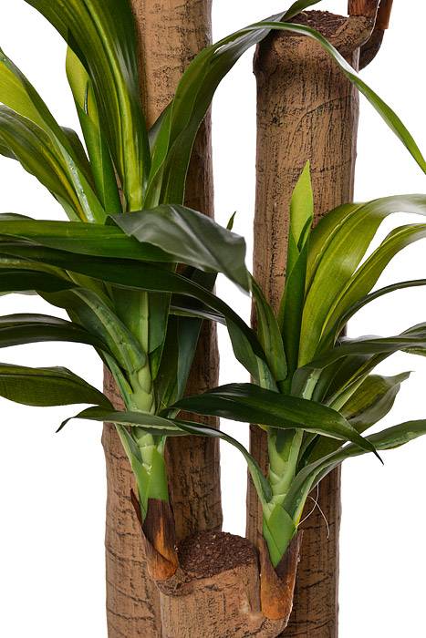 5FT Tropical Dracaena Tree Green