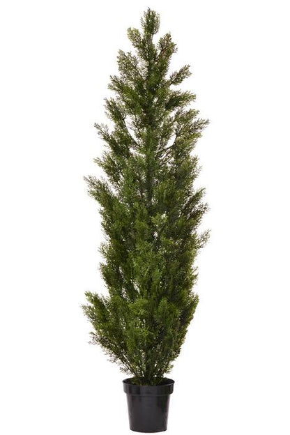 72" Cedar Topiary In Pot Green