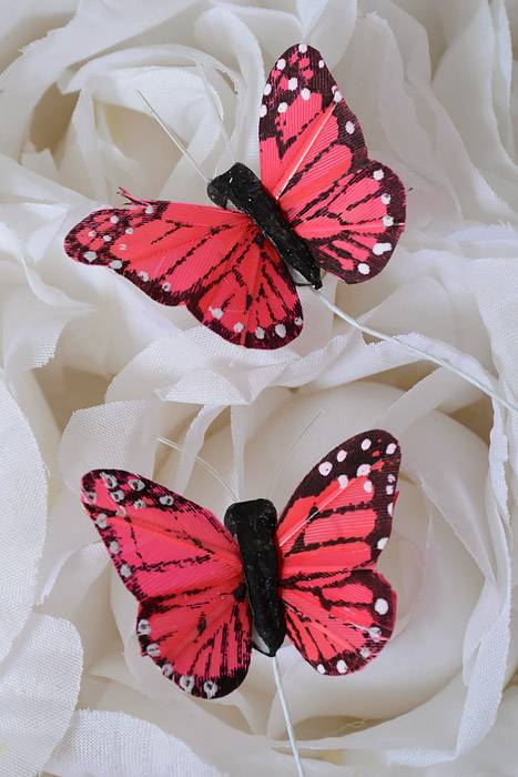 1" Mini Butterfly Coral/red Pkg/12