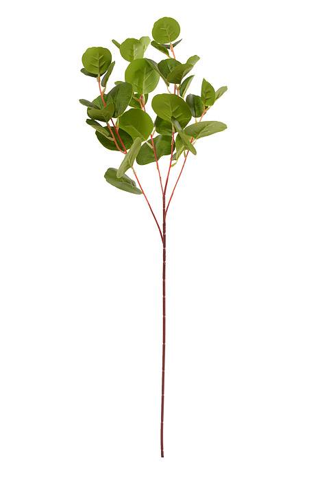 31.5" Eucalyptus Spray Light Green