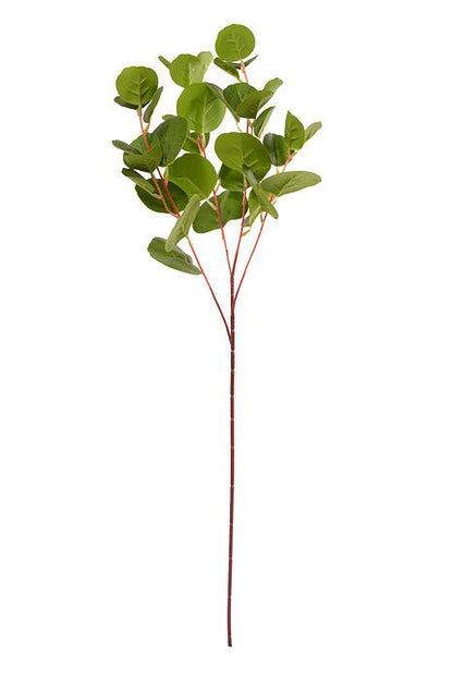 31.5" Eucalyptus Spray Light Green