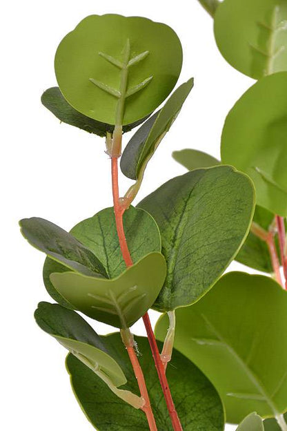 31.5" Eucalyptus Spray Light Green