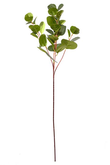 31.5" Eucalyptus Spray  Green