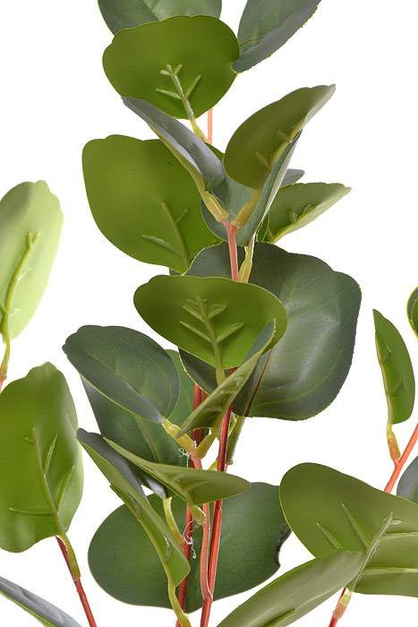 31.5" Eucalyptus Spray  Green