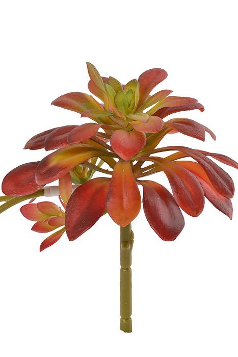 11.8" Soft Aeonium Pick Burgundy/green