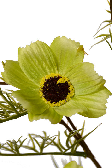 28" Silk Cosmos Spray Green