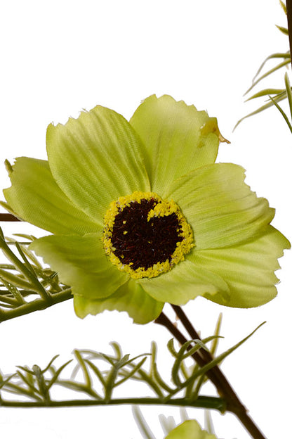 28" Silk Cosmos Spray Green