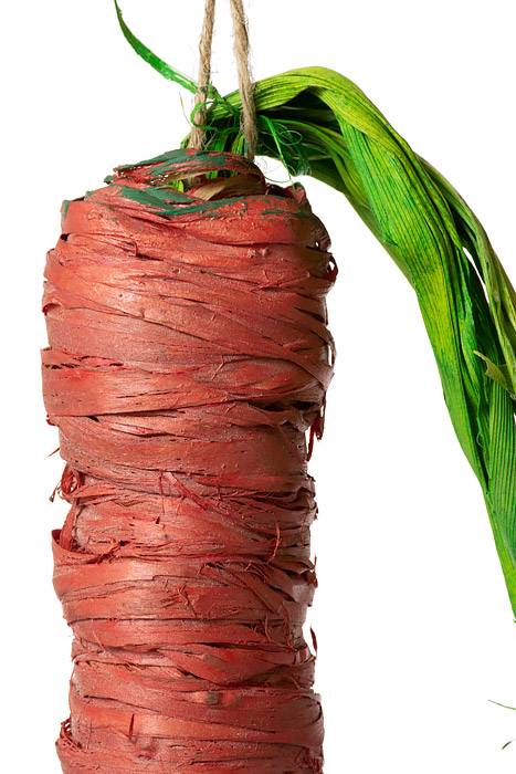 20" Cornhusk Carrot Orange