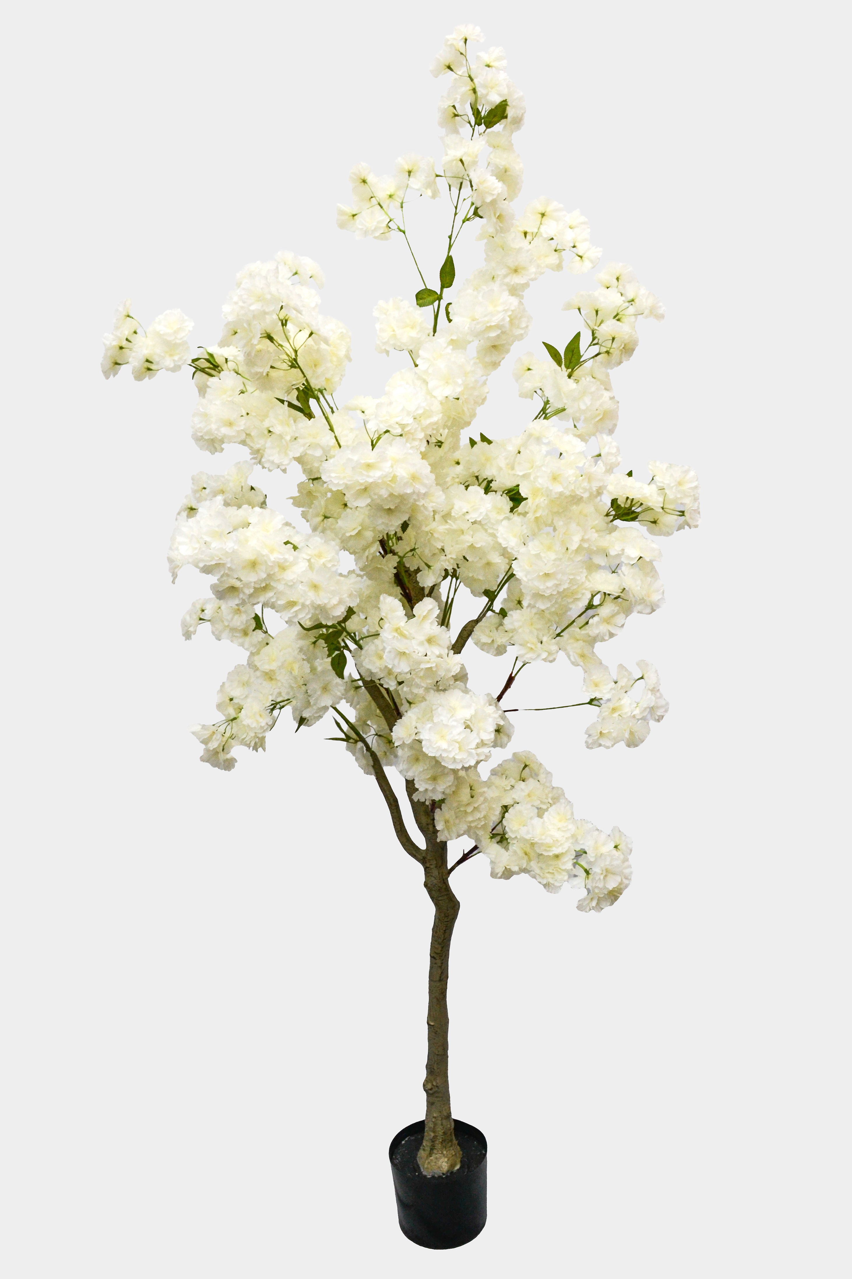 6Ft Artificial Cherry Blossom Tree White