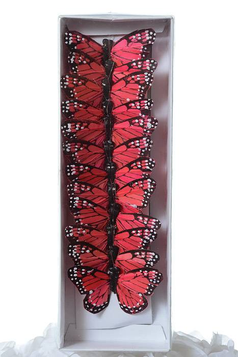 3" Feather Butterfly Coral/red Pkg/12