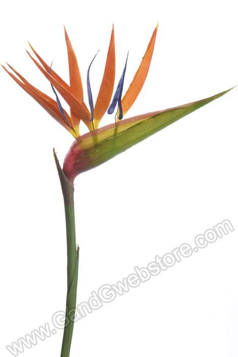 36" Artificial Bird Of Paradise Spray Orange
