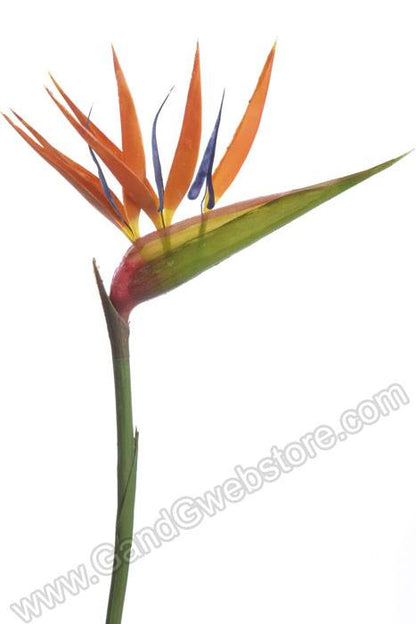 36" Artificial Bird Of Paradise Spray Orange
