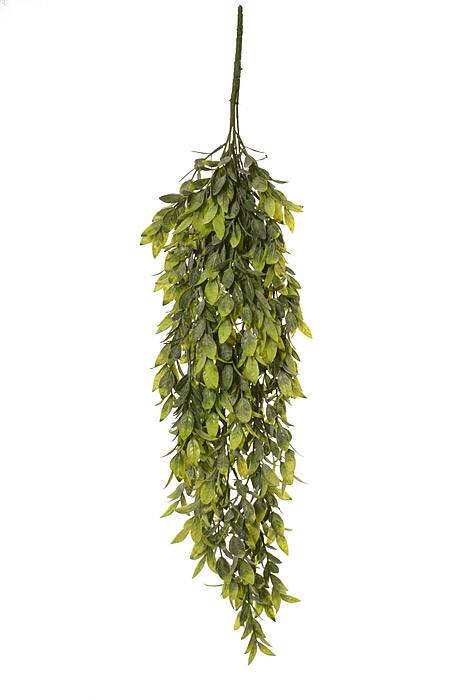 32&quot; Ruscus Hanging Vine Green