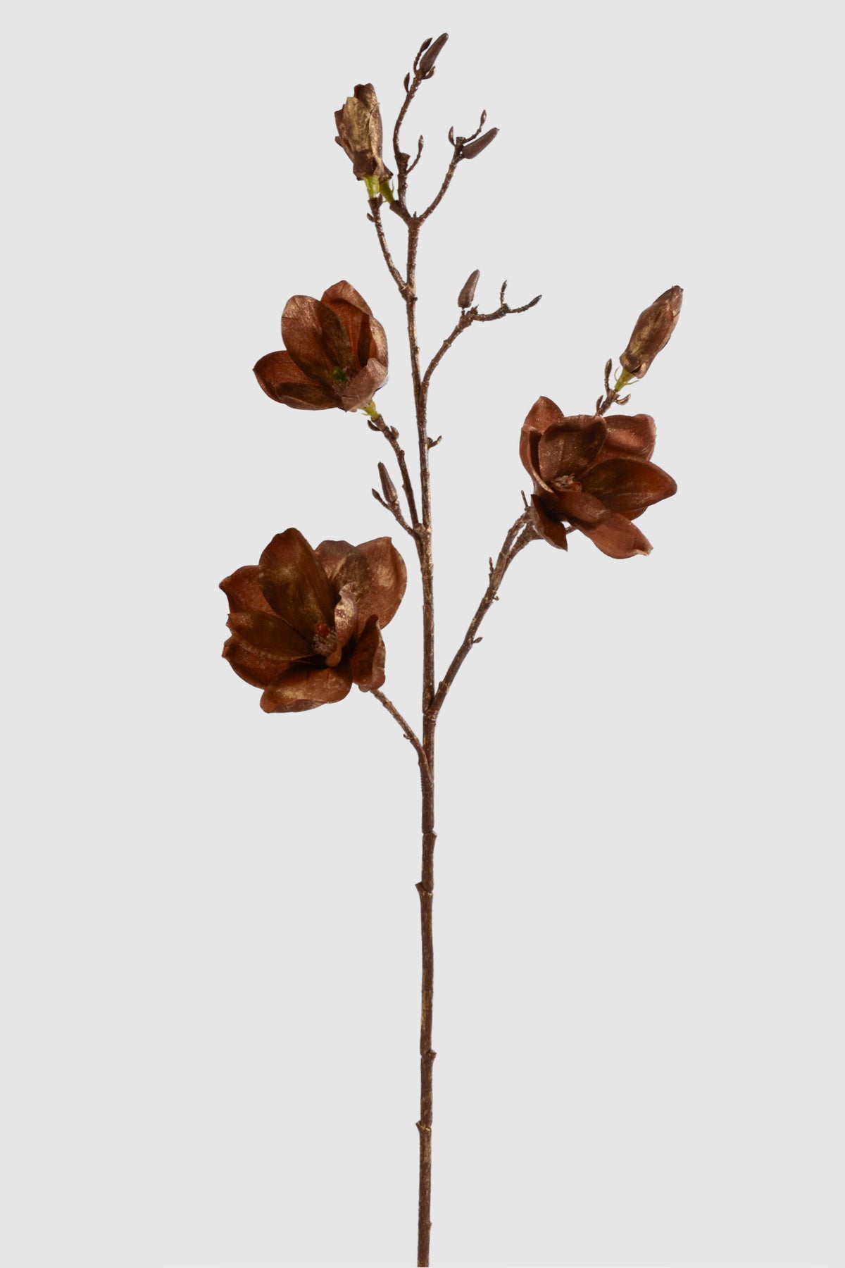 33" Magnolia Spray Brown