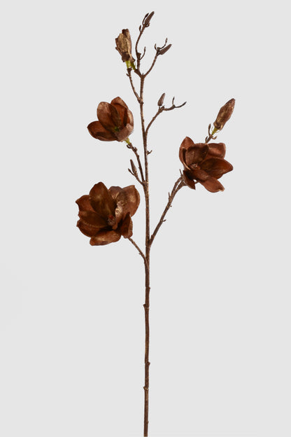 33" Magnolia Spray Brown