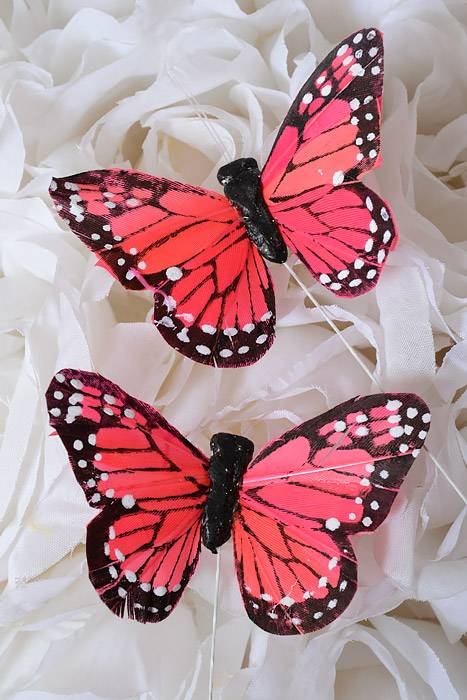 3" Feather Butterfly Coral/red Pkg/12