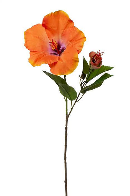 26" Hibiscus Spray Papaya/beauty
