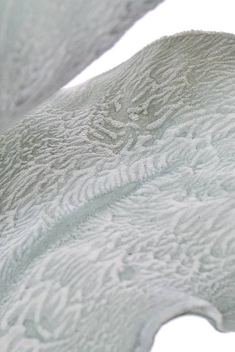 32" Eva Leaves Spray Teal