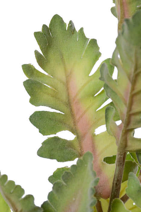 30" Dusty Miller Spray Light Green/Burgundy