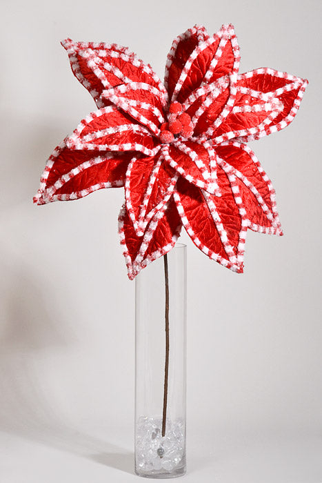 30" Giant Candy Snow Glitter Poinsettia Stem Red/White